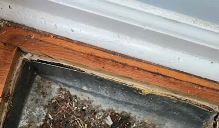 Ubuntu Air Duct Cleaning & Service, heat pump installer in Washington